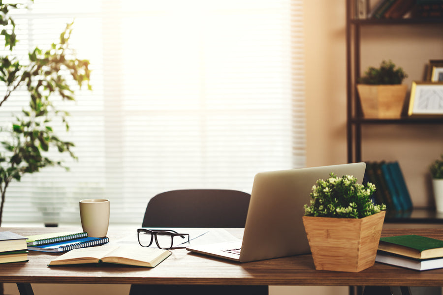 Office or Guest Room? Why Not Both?