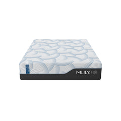 WellFlex ICE 3.0 Plusher