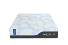 WellFlex ICE 3.0 Plusher