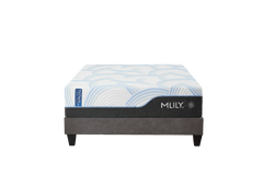 WellFlex ICE 3.0 Plusher