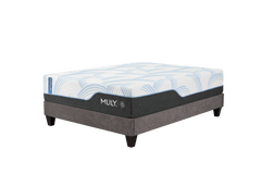 WellFlex ICE 3.0 Plusher