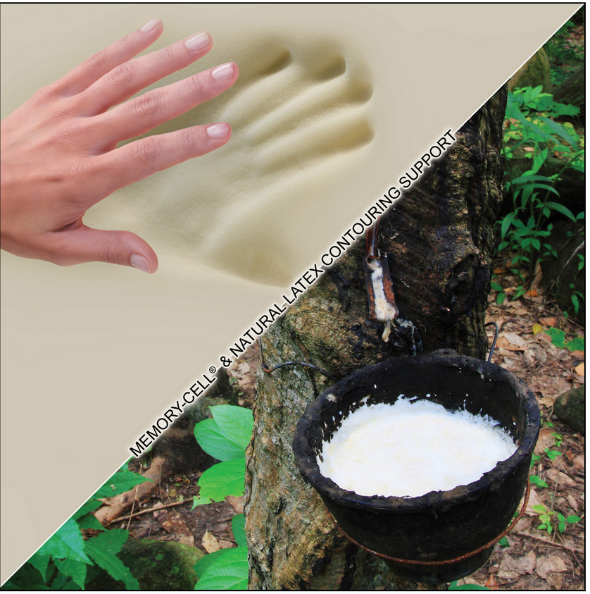 The Medallion Soft Side Waterbed