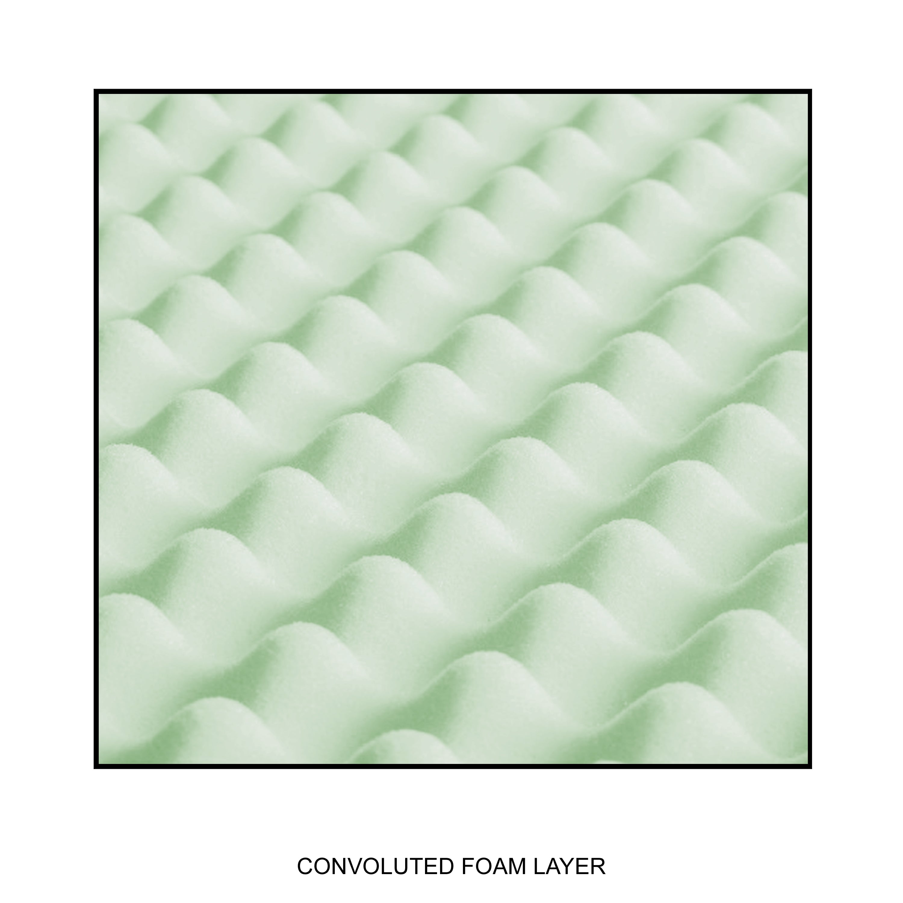 Genesis™ 900 DXF Watermattress