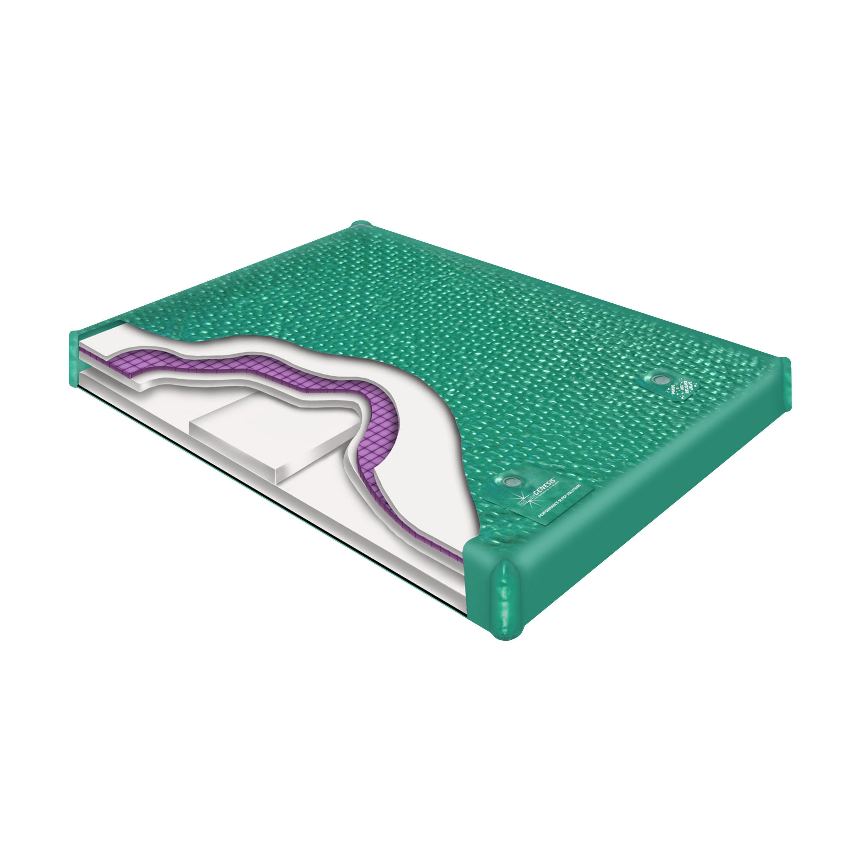 Genesis™ 800 DX Watermattress