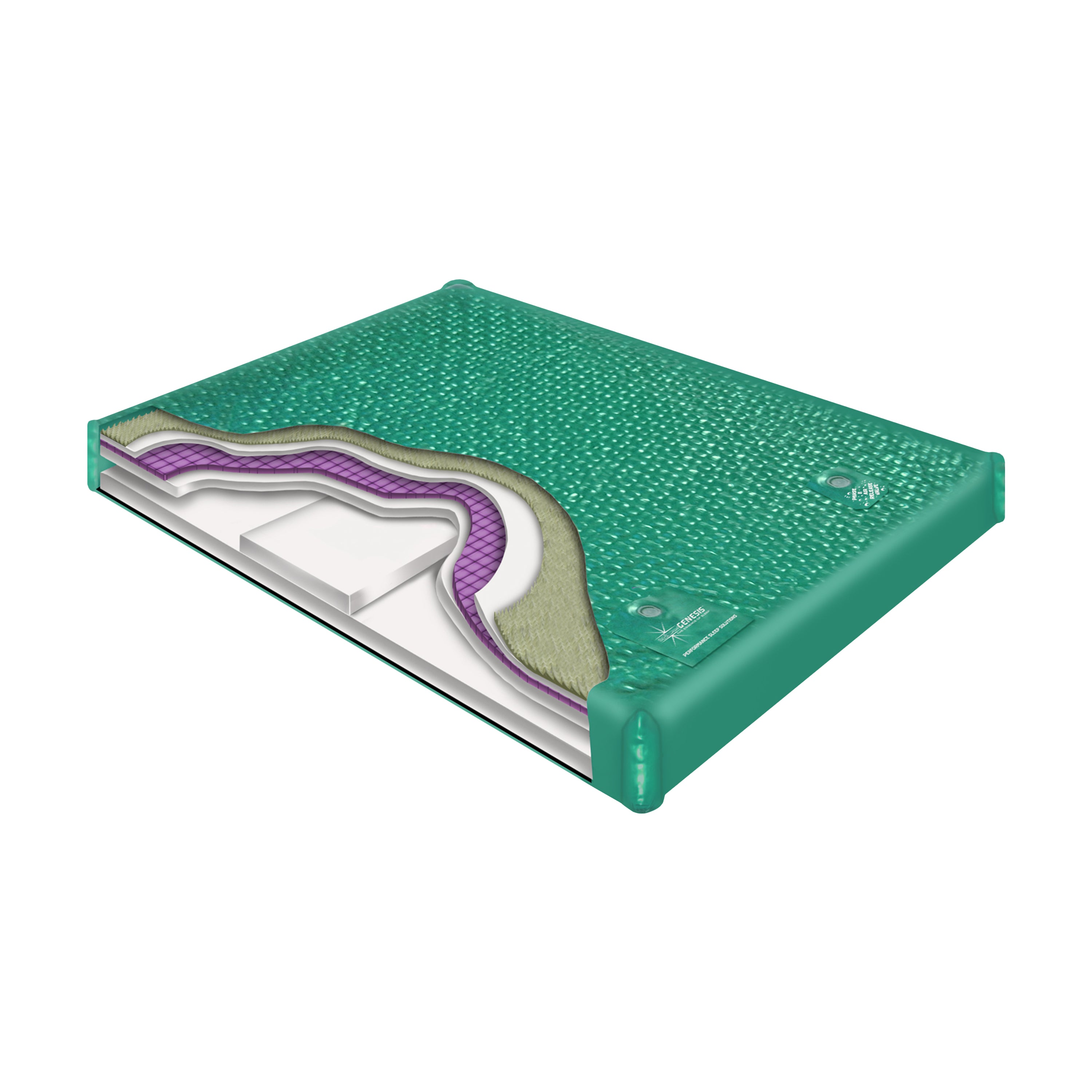 Genesis™ 900 DXF Watermattress